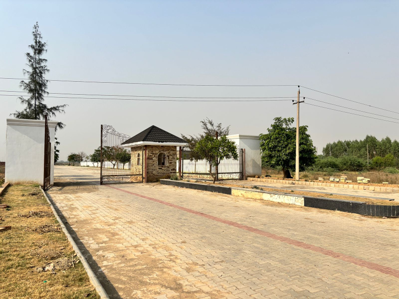  Residential Plot 100 Sq. Yards for Sale in Lalru, Mohali