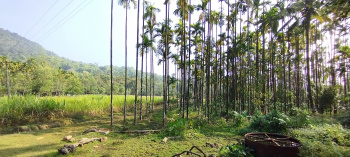  Agricultural Land for Sale in Sringeri, Chikmagalur