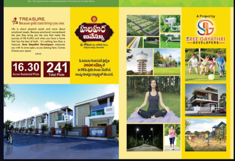 Nakrekal, Nalgonda photo 4