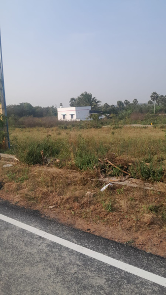  Residential Plot 1200 Sq.ft. for Sale in Thiruvakavundanur, Salem