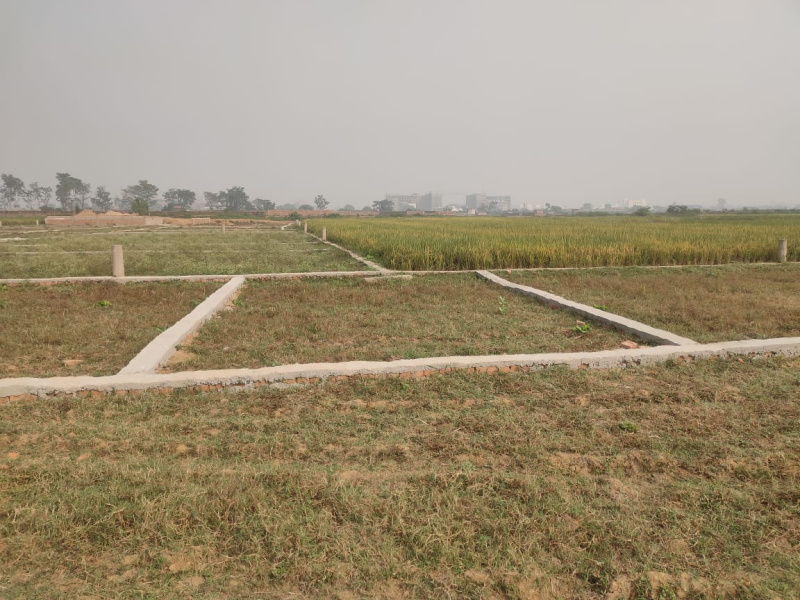  Residential Plot 1200 Sq.ft. for Sale in Bihta, Patna