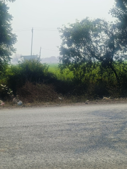  Residential Plot for Sale in Hodal, Palwal