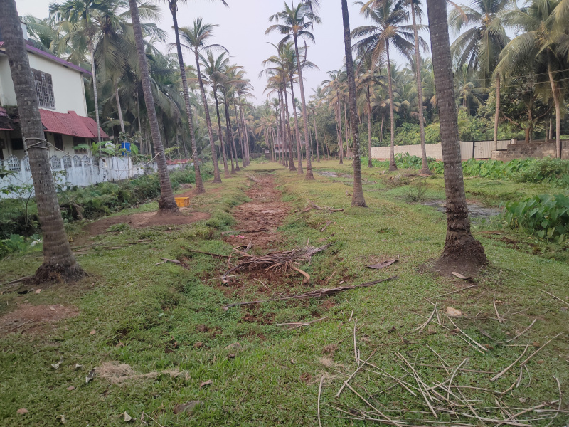  Residential Plot 55 Cent for Sale in Thondayad Bypass, Kozhikode