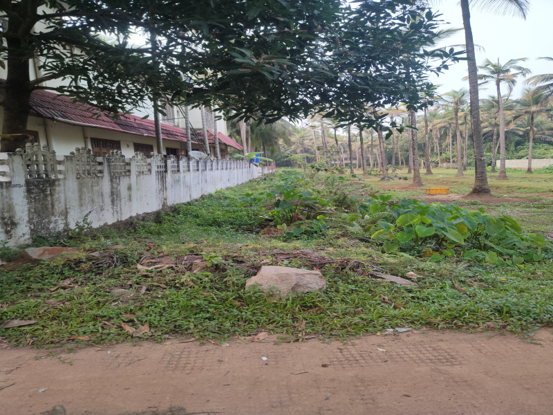  Residential Plot 55 Cent for Sale in Thondayad Bypass, Kozhikode