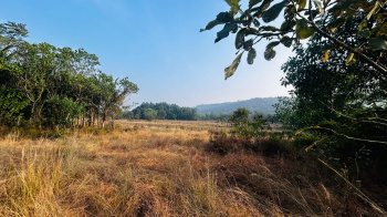  Agricultural Land for Sale in Sawantwadi, Sindhudurg