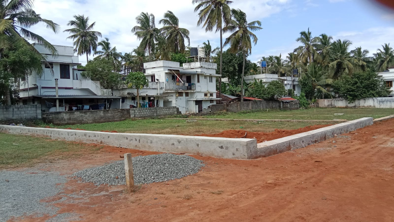  Residential Plot 12 Cent for Sale in Ayyanthole, Thrissur