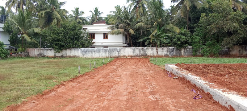  Residential Plot 12 Cent for Sale in Ayyanthole, Thrissur