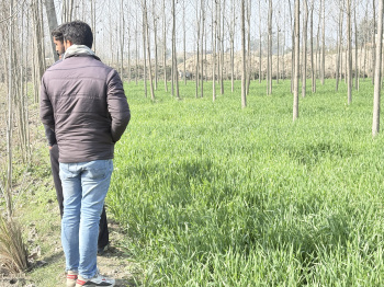  Agricultural Land for Sale in Nakur, Saharanpur