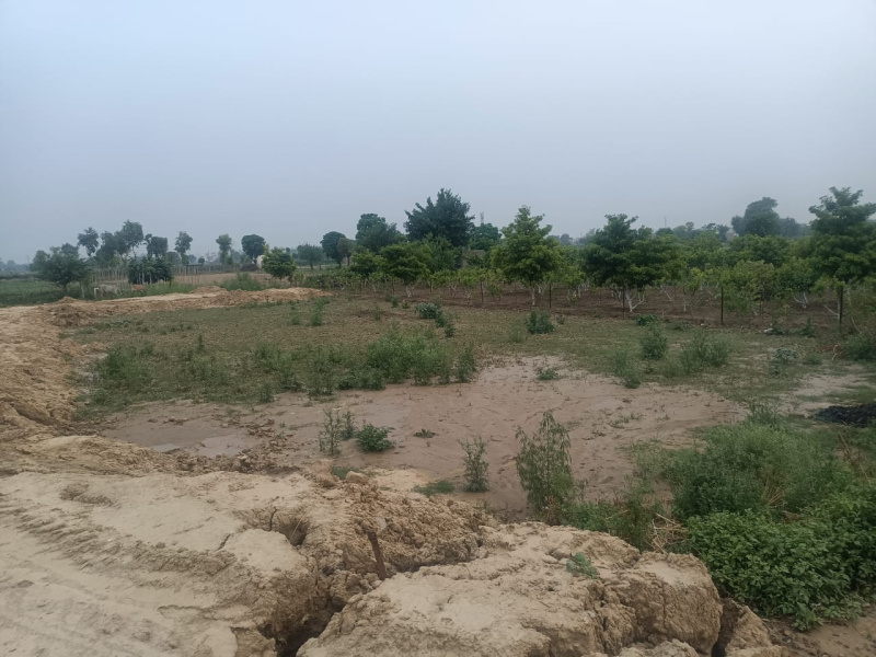  Residential Plot 90 Sq.ft. for Sale in Amarheri, Jind
