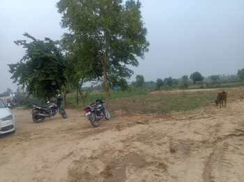  Residential Plot for Sale in Amarheri, Jind