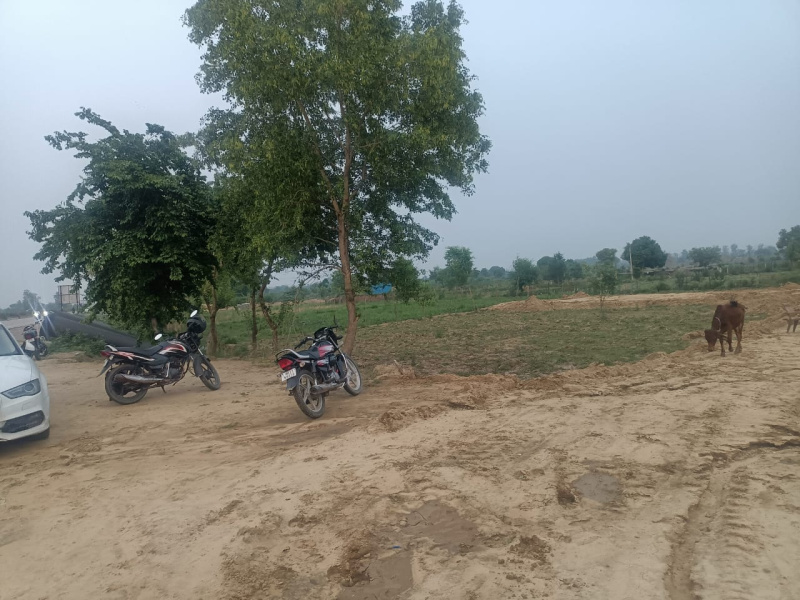  Residential Plot 150 Sq.ft. for Sale in Amarheri, Jind