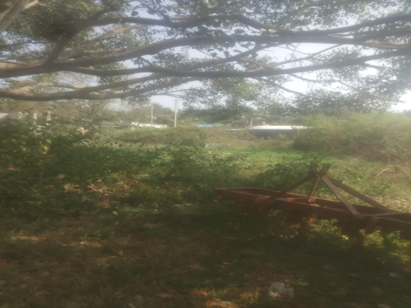  Industrial Land 1 Acre for Sale in Turuvekere, Tumkur