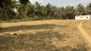  Agricultural Land for Sale in Hirehalli, Tumkur