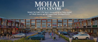  Commercial Shop for Sale in Aerocity, Mohali