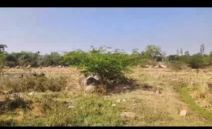  Agricultural Land 2 Acre for Sale in Bichkunda, Kamareddy