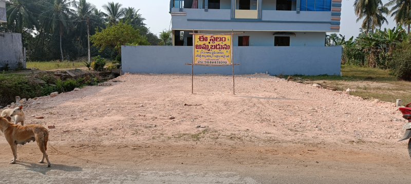  Residential Plot 213 Sq. Yards for Sale in Tanuku, West Godavari