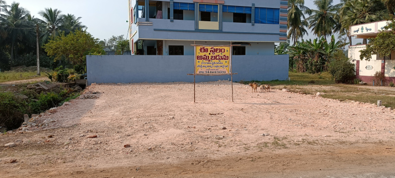  Residential Plot 213 Sq. Yards for Sale in Tanuku, West Godavari