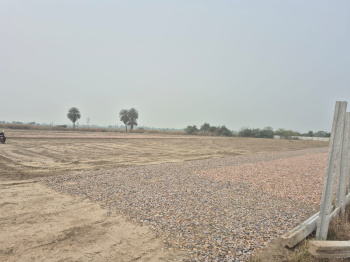  Residential Plot for Sale in Solra, Palwal