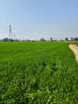  Agricultural Land for Sale in Khurja, Bulandshahr