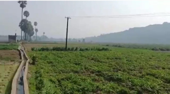  Residential Plot for Sale in Badi Pahadi, Biharsharif, Nalanda