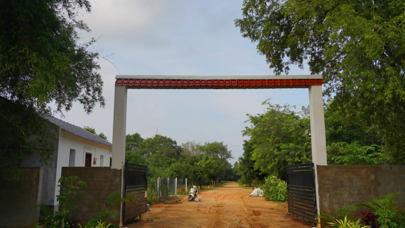  Agricultural Land 600 Sq. Yards for Sale in KT ROAD, Tirupati