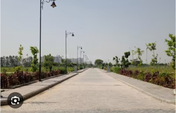  Residential Plot for Sale in TDI City Kundli, Sonipat