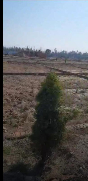  Residential Plot 327 Sq. Yards for Sale in Punwarka, Saharanpur
