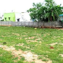  Residential Plot 1500 Sq.ft. for Sale in Othakadai, Madurai