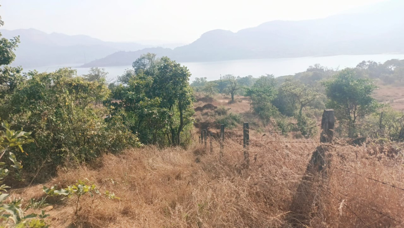  Residential Plot 2 Acre for Sale in Mulshi, Pune