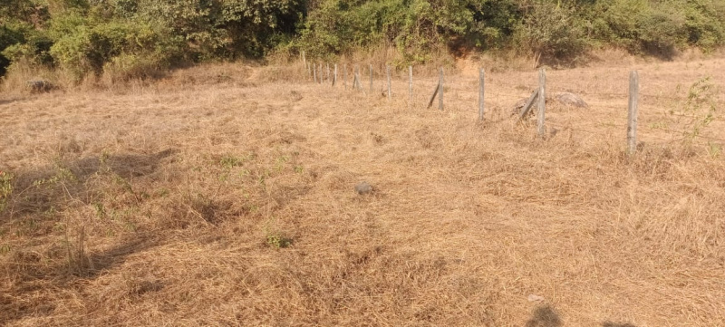  Residential Plot 2 Acre for Sale in Mulshi, Pune