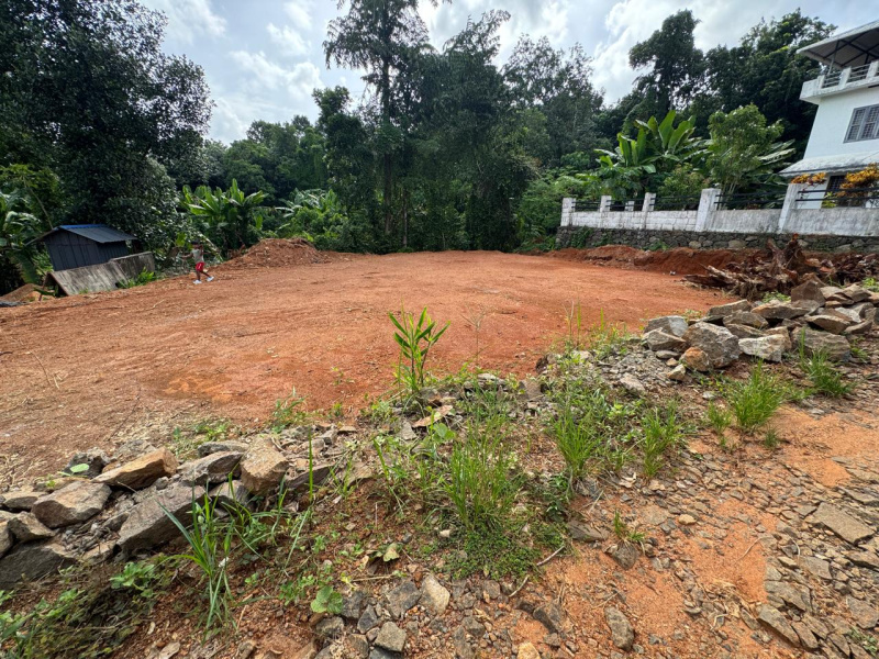  Residential Plot 4356 Sq.ft. for Sale in Vakathanam, Kottayam