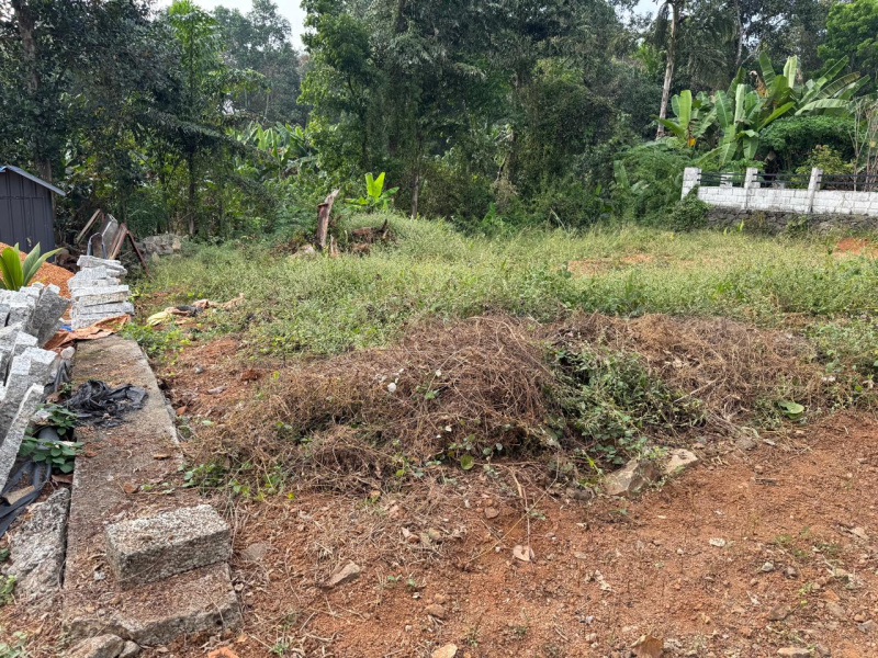  Residential Plot 4356 Sq.ft. for Sale in Vakathanam, Kottayam