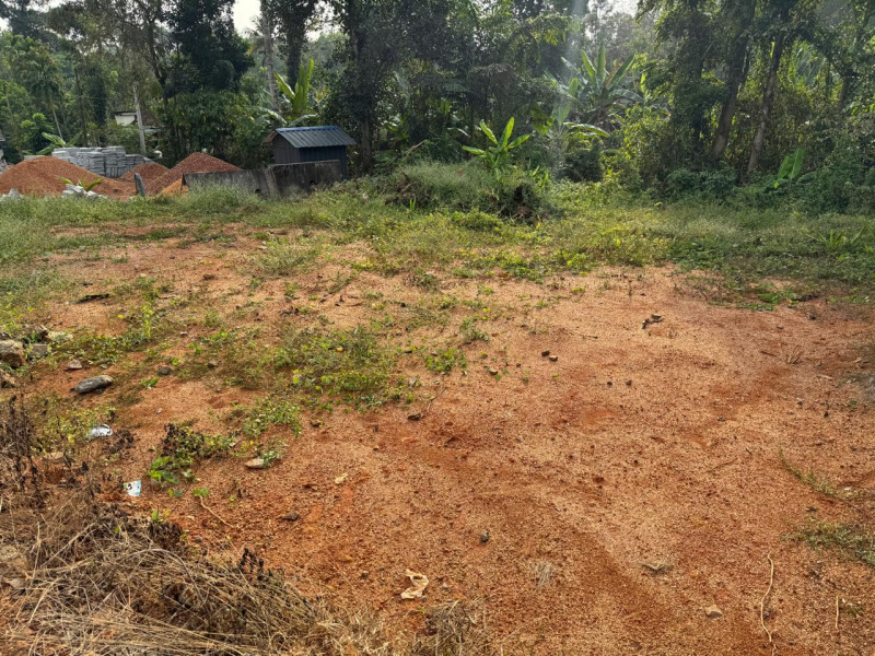  Residential Plot 4356 Sq.ft. for Sale in Vakathanam, Kottayam