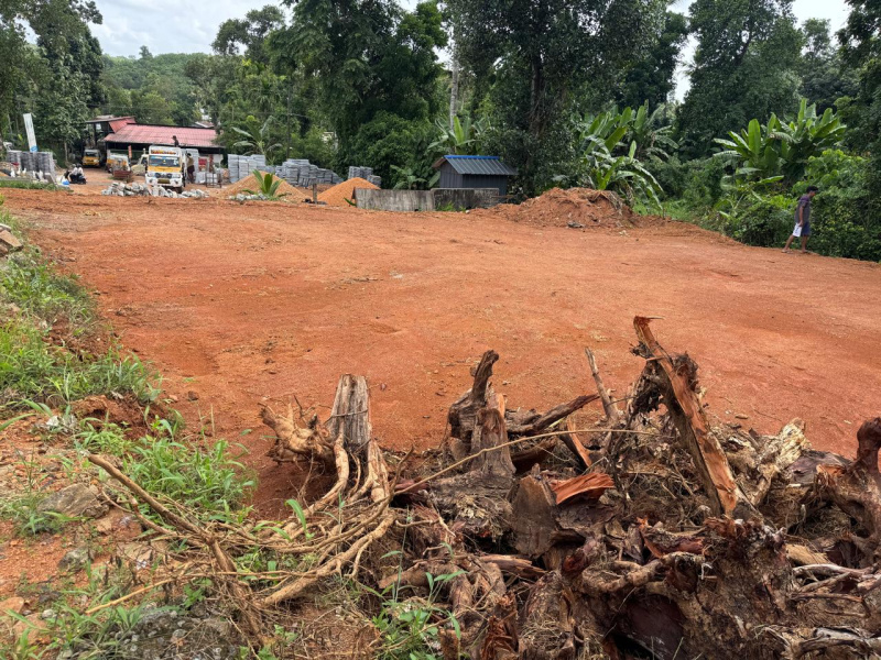  Residential Plot 4356 Sq.ft. for Sale in Vakathanam, Kottayam