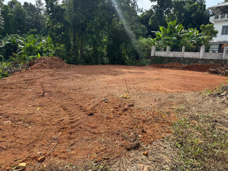  Residential Plot 4356 Sq.ft. for Sale in Vakathanam, Kottayam