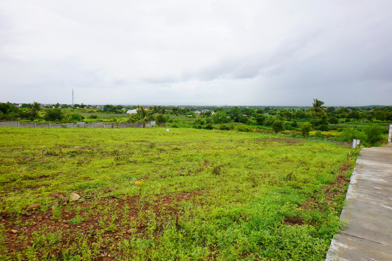  Residential Plot 11000 Sq.ft. for Sale in Uruli Kanchan, Pune