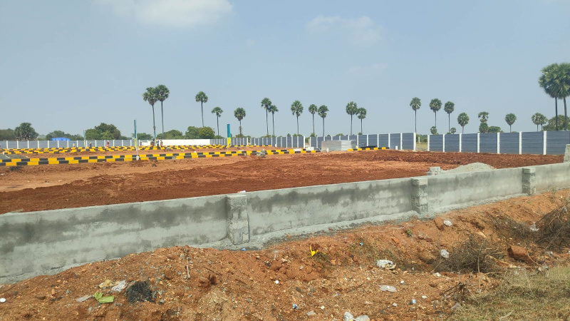 Avinashi Road, Tirupur photo 4