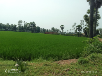  Agricultural Land for Sale in Madhavapatnam, Kakinada