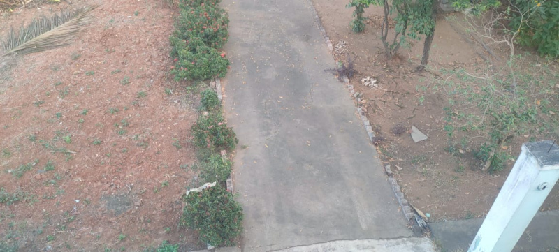 4 BHK House 1000 Sq. Yards for Sale in Nuzvid, Krishna