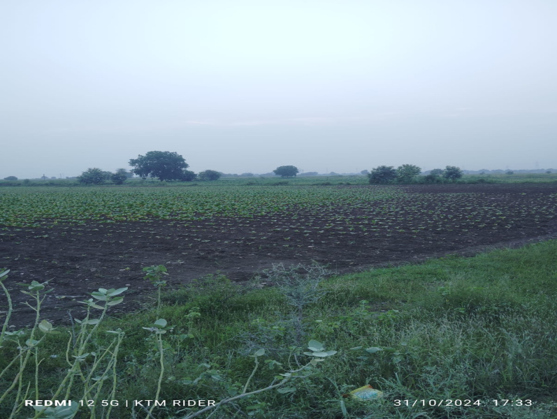  Industrial Land 60000 Sq.ft. for Sale in Abbas Nagar, Kurnool