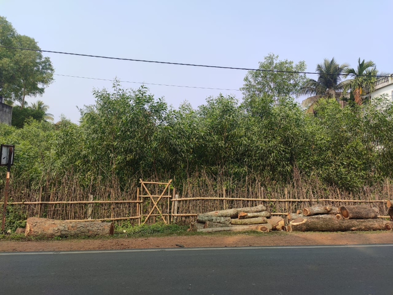  Residential Plot 20 Dismil for Sale in Digha, Medinipur