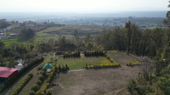  Agricultural Land for Sale in Thano, Dehradun