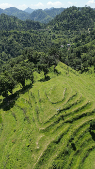  Agricultural Land for Sale in Neelkanth Road, Rishikesh