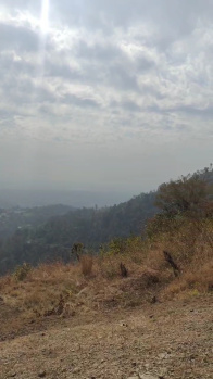  Agricultural Land for Sale in Thano, Dehradun