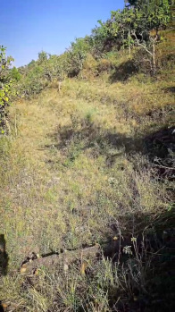  Agricultural Land for Sale in Shivpuri, Rishikesh