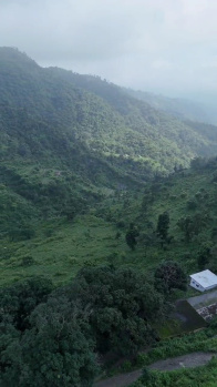 Agricultural Land for Sale in Neelkanth Road, Rishikesh