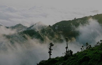  Agricultural Land for Sale in Narendra Nagar, Rishikesh