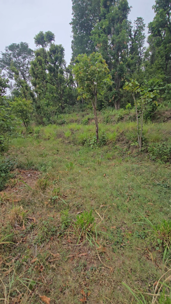 Narendra Nagar, Rishikesh photo 3