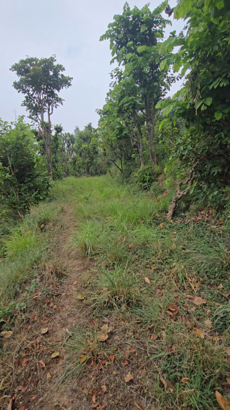Narendra Nagar, Rishikesh photo 4