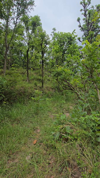 Narendra Nagar, Rishikesh photo 5